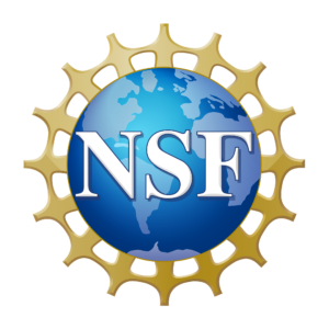 NSF logo icon